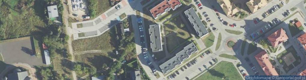 Zdjęcie satelitarne Dortex-Bis Rafał Dębowski