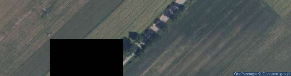 Zdjęcie satelitarne Drewbud