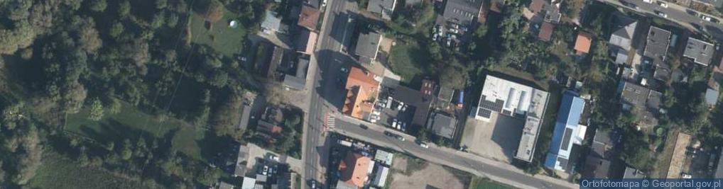 Zdjęcie satelitarne Drzewko Szczęścia
