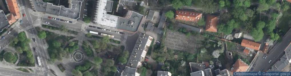 Zdjęcie satelitarne Drzewoznawca