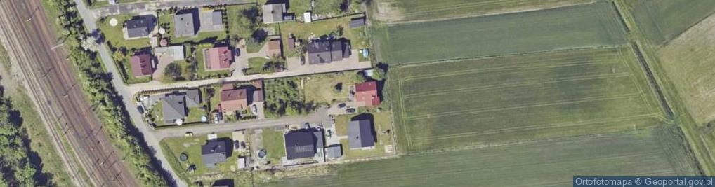 Zdjęcie satelitarne Dynamic Finance