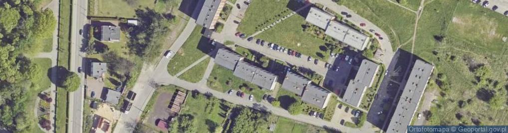 Zdjęcie satelitarne Dystrybucja Marketing