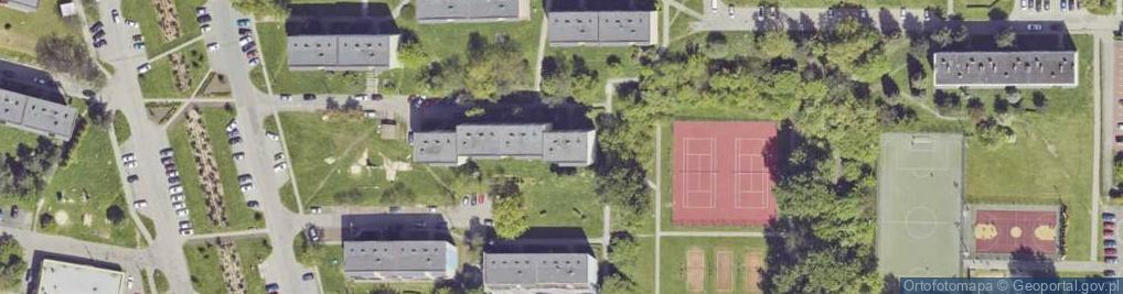 Zdjęcie satelitarne Dystrybucja