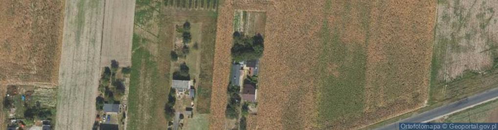 Zdjęcie satelitarne Dytrybucja i Marketing Jan Grodzicki Jan