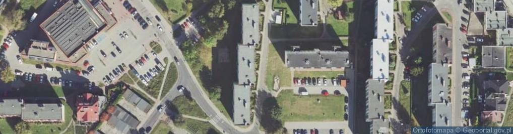 Zdjęcie satelitarne Działalność Handlowa