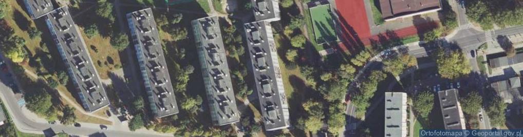 Zdjęcie satelitarne Działalność Handlowa