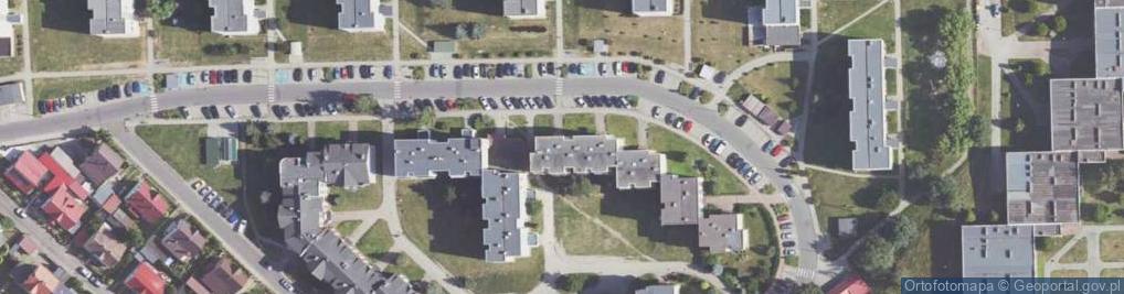 Zdjęcie satelitarne Działalność Usługowa