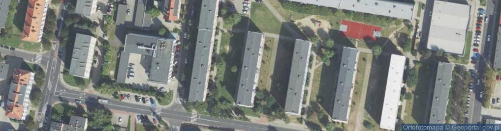 Zdjęcie satelitarne Działalność Usługowa