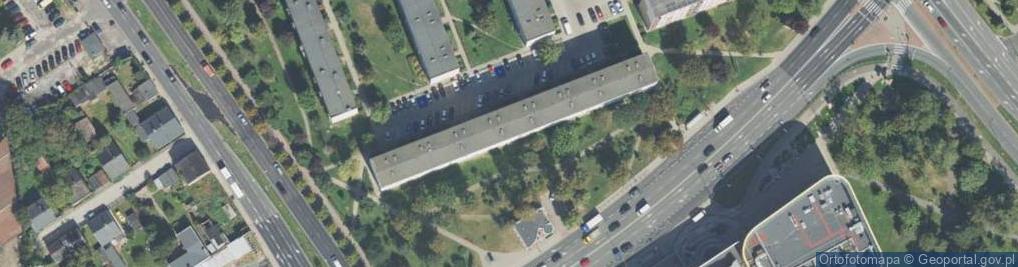Zdjęcie satelitarne Dzikowski Maciej
