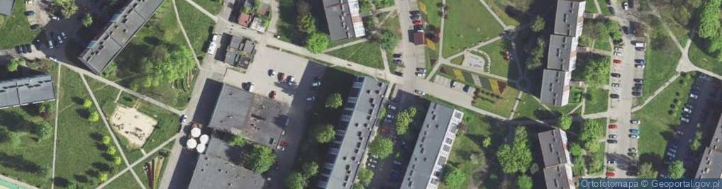 Zdjęcie satelitarne Dziurowicz Nowak Anna