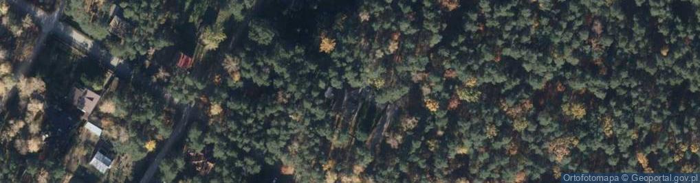 Zdjęcie satelitarne E Com