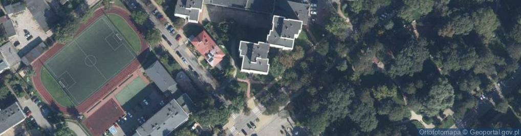 Zdjęcie satelitarne Edward Borucki - Działalność Gospodarcza
