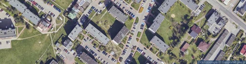 Zdjęcie satelitarne Edyta Sobocińska