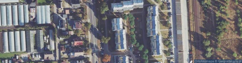 Zdjęcie satelitarne Egzamin Elżbieta Patyk Alina Kolczyńska Emilia Sanocka Emilia Modrzejewska