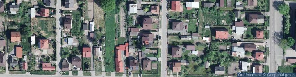 Zdjęcie satelitarne Ekosystem