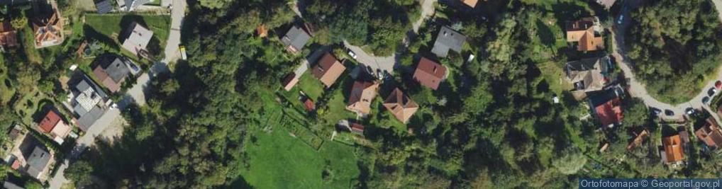 Zdjęcie satelitarne Elżbieta Ciborowska