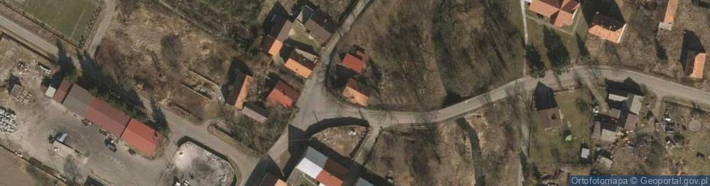 Zdjęcie satelitarne Evergreen