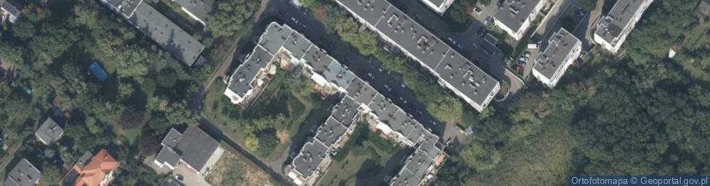 Zdjęcie satelitarne Ewa Koralewska Flamingo Flores