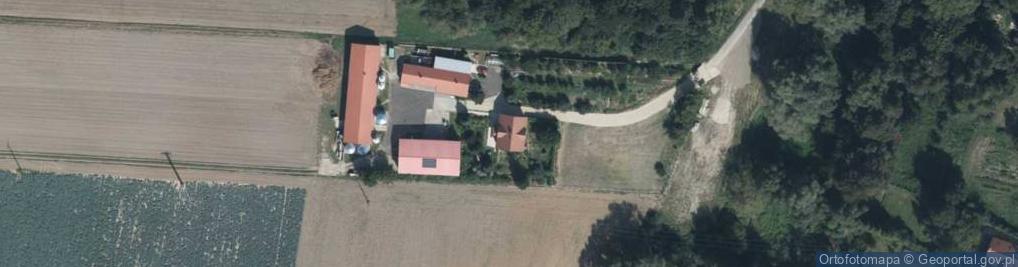 Zdjęcie satelitarne Export Import Sprzedaż Hurtowa i Detaliczna