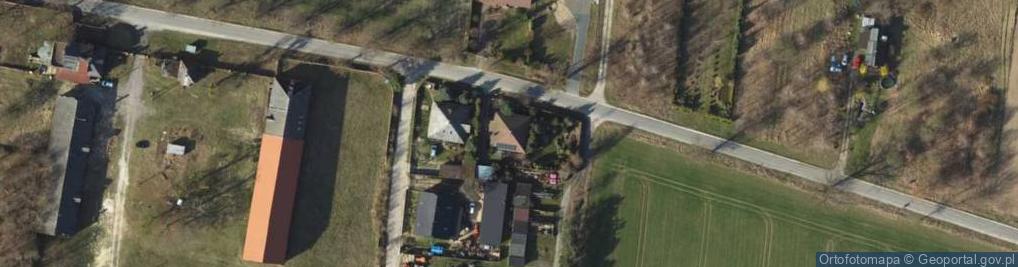 Zdjęcie satelitarne Export Import