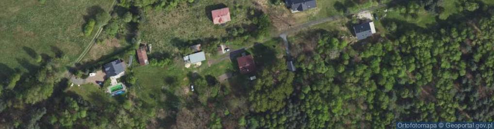 Zdjęcie satelitarne Fauna i Flora Janusz Skwara
