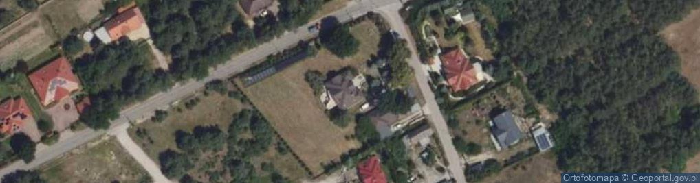 Zdjęcie satelitarne Firma Ananas