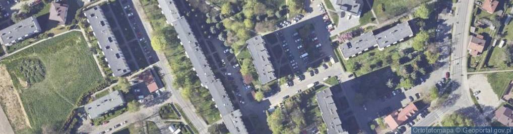 Zdjęcie satelitarne Firma Az Geo Lenart Beata Kisiołek Jadwiga