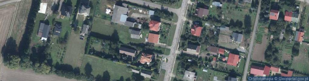 Zdjęcie satelitarne Firma Dino