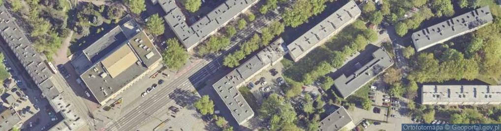 Zdjęcie satelitarne Firma Handlowa Twin Peaks