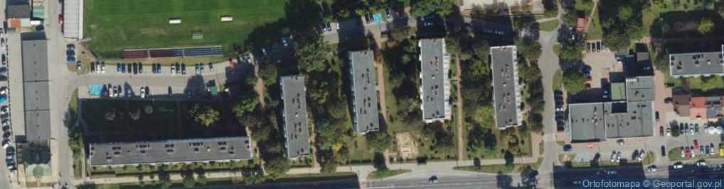 Zdjęcie satelitarne Firma Handlowa