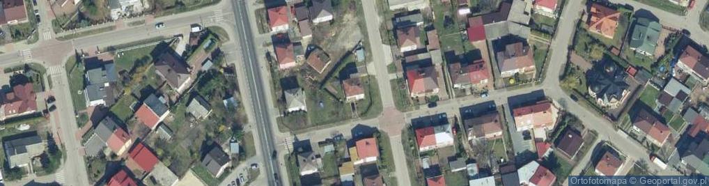 Zdjęcie satelitarne Firma Handlowa