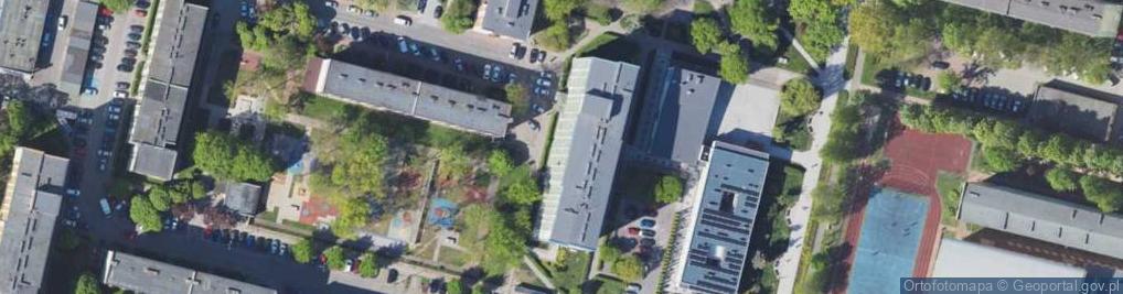 Zdjęcie satelitarne Firma Handlowa