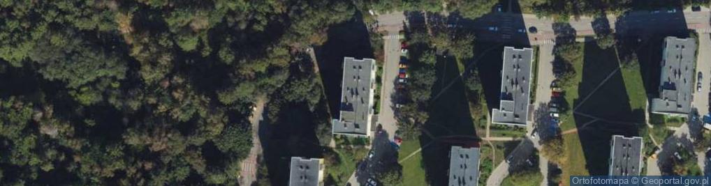 Zdjęcie satelitarne Firma Handlowa