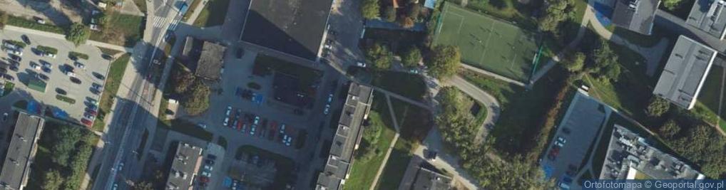 Zdjęcie satelitarne Firma Handlowa