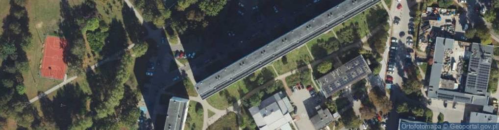 Zdjęcie satelitarne Firma Handlowa