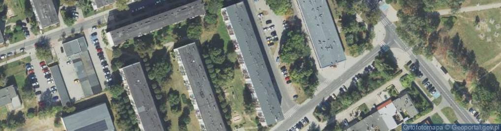 Zdjęcie satelitarne Firma Handlowa