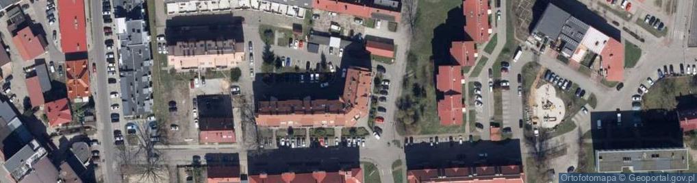 Zdjęcie satelitarne Firma Handlowo Usługowa Young Collection