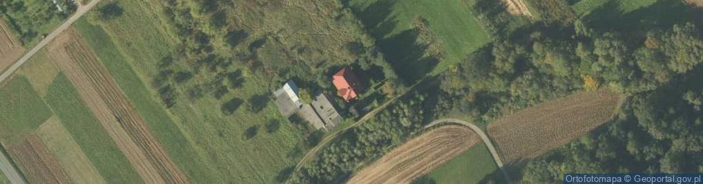 Zdjęcie satelitarne Firma Junior