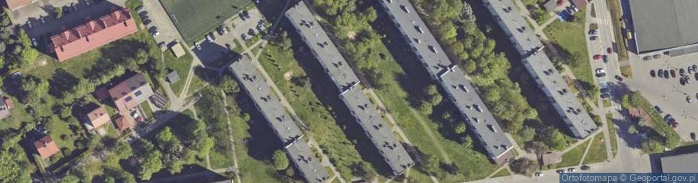 Zdjęcie satelitarne Firma Usługowa DS BHP