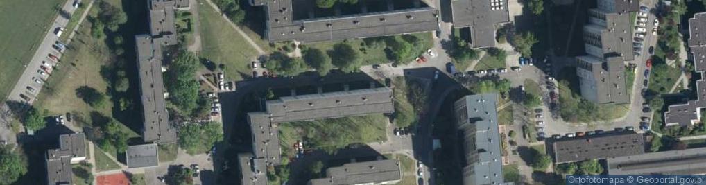 Zdjęcie satelitarne Firma Usługowa