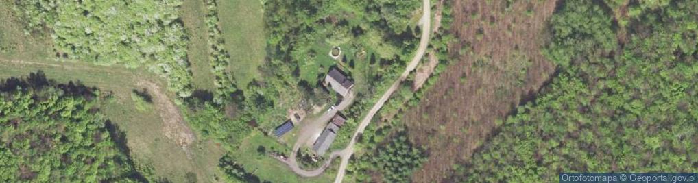 Zdjęcie satelitarne Firma Usługowa