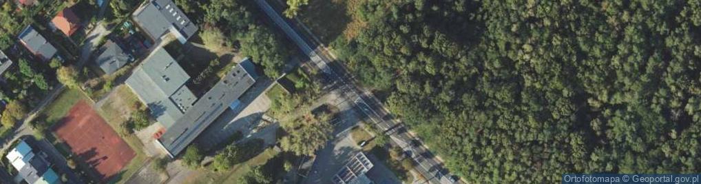 Zdjęcie satelitarne Flora Kamil Molenda