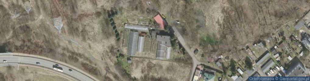 Zdjęcie satelitarne Florystyczna poczta Sosnowiec