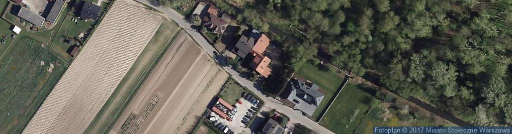 Zdjęcie satelitarne Flower Power Bartosz Dąbrowski