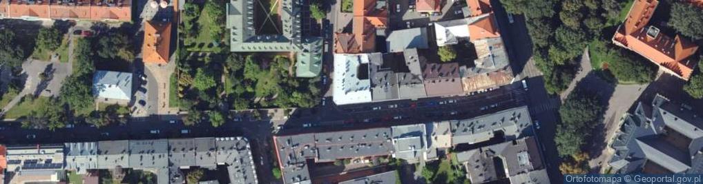 Zdjęcie satelitarne Formica Agnieszka Gliniak Andrzej Piskorz