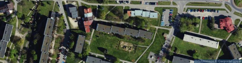 Zdjęcie satelitarne Fraktal