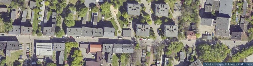 Zdjęcie satelitarne Fuks Aleksandra Niedzielska
