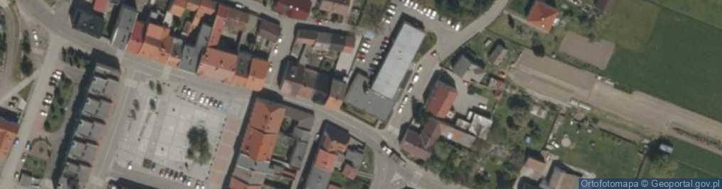 Zdjęcie satelitarne Fundacja Ziemi Leśnickiej