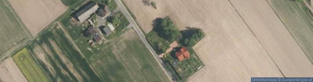 Zdjęcie satelitarne Gawron Danuta