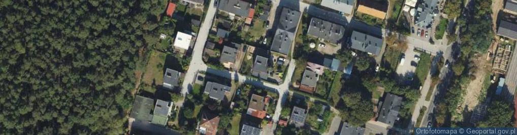 Zdjęcie satelitarne Global Trade Natalia Ilewicz Eligiusz Ilewicz